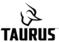 Taurus sights