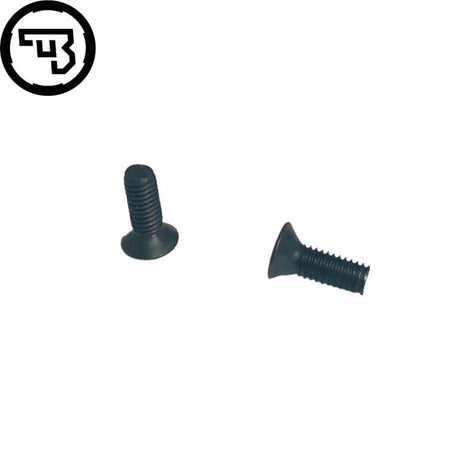 Screws for CZ red dot plates | 2pcs